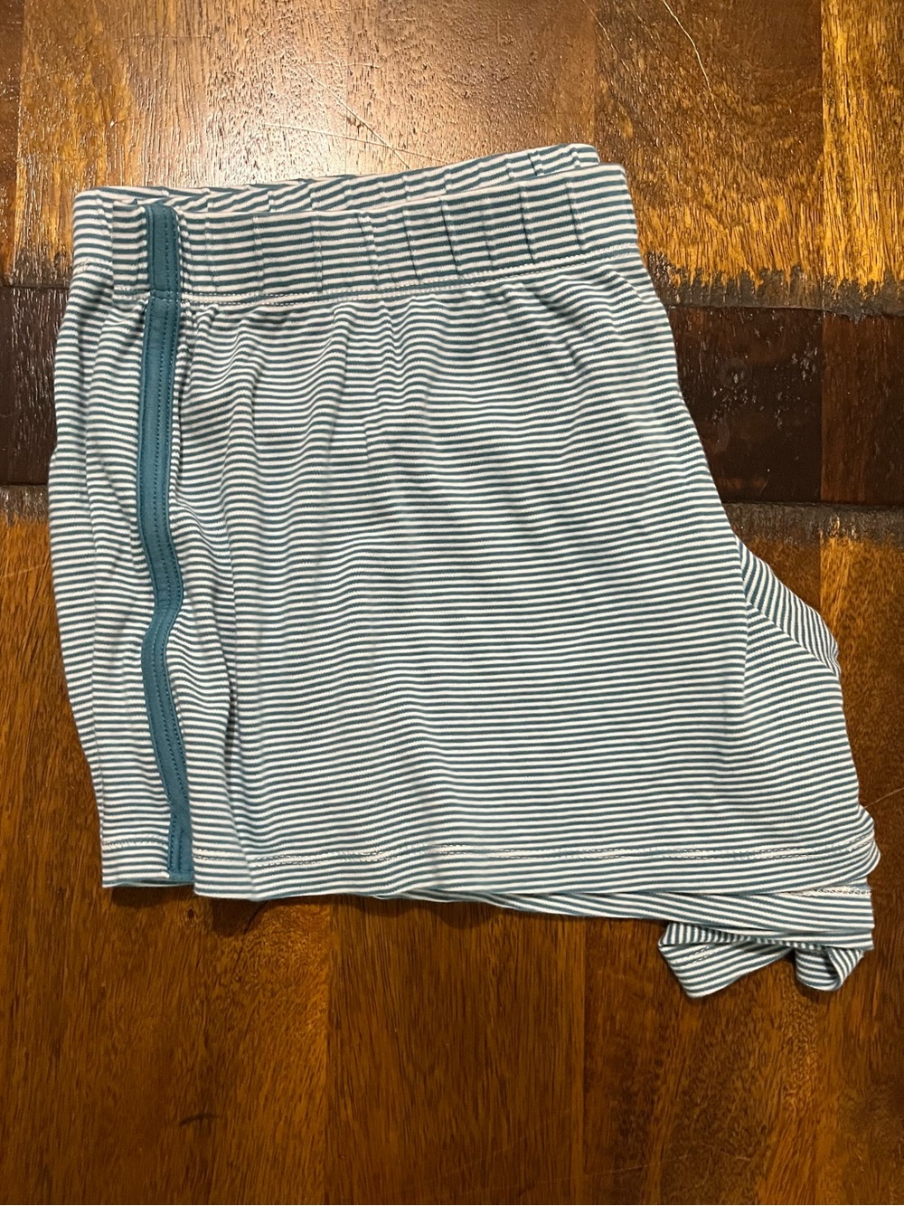 LAKE Women’s XL Pajama Shorts